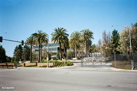 googleplex   premium high res pictures getty images