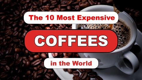 The 10 Most Expensive Coffees In The World । Expensive World Youtube