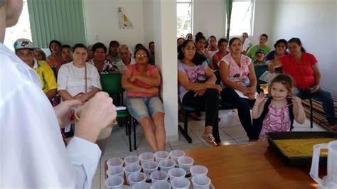 Jornal Bom Dia Notícias Notícias curso de nutricao da uri chama