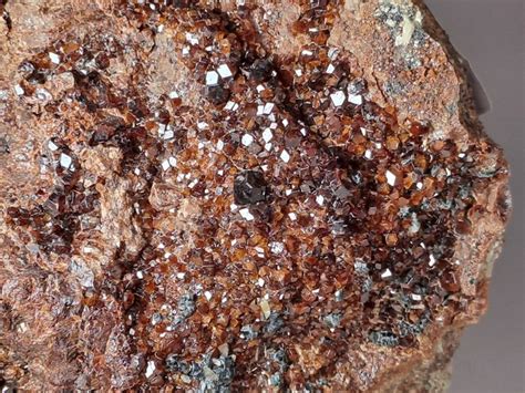 Hessonite e clorite località Storica Cristalli su matrice Altezza 8