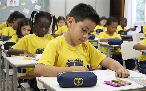 Educação De Qualidade Como Promover O Acesso A Ela