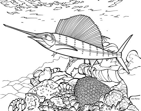 Realistic Ocean Animals Coloring Pages