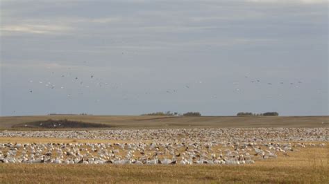 Macklin, Saskatchewan | Canadian prairies, Natural landmarks, Saskatchewan