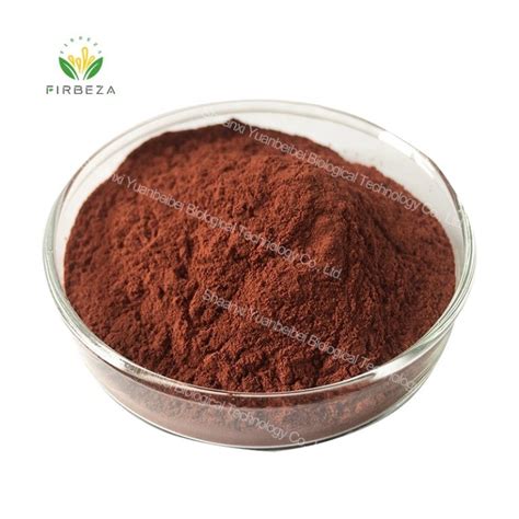 Wholesale Price Chaga Mushroom Mycelia Extract Polysaccharide