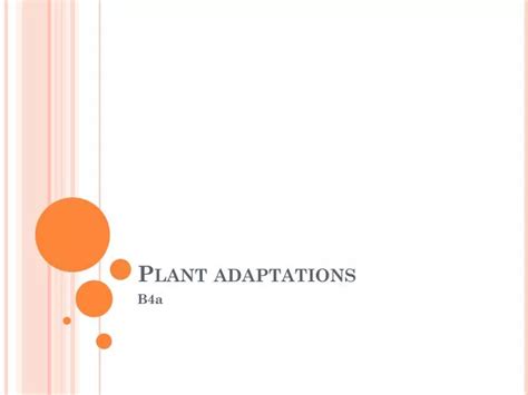 Ppt Plant Adaptations Powerpoint Presentation Free Download Id6881770