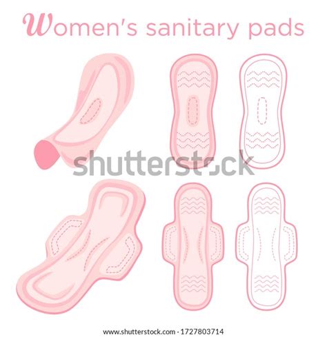 Hygienic Kit Womens Sanitary Pads Feminine Stock Vector Royalty Free 1727803714 Shutterstock