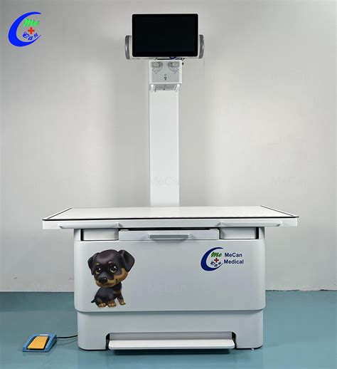 China Veterinary Digital Radiography X Ray Machine Manufacturers