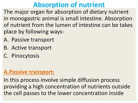 Digestion And Absorption In Ruminant And Non Ruminant Pptx