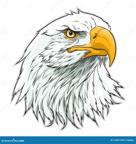 American Eagle Head