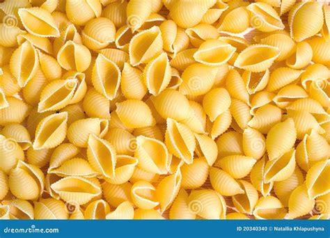 pasta shells stock photo image  delicious background