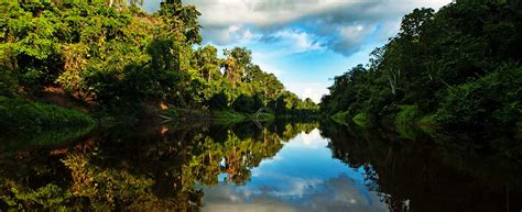 Pacaya Samiria Iquitos Natura Tourism