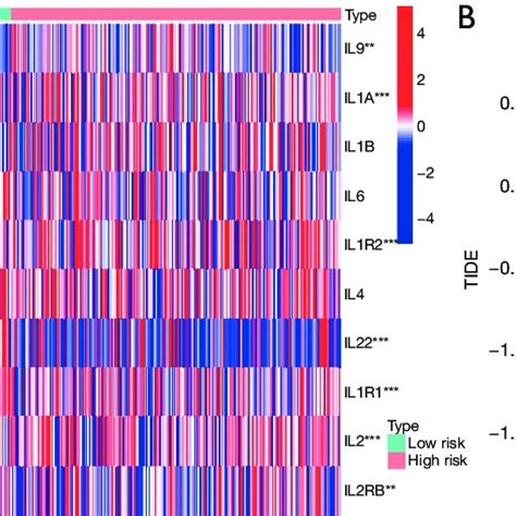 Correlation Of Tnf Related Lncrna Prognostic Signature And