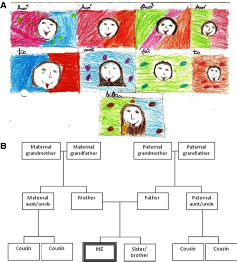 Main steps of the activity about heredity and genealogical trees. (A ...