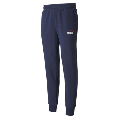 Puma Essentials 2 Col Logo Pants Fl Blue