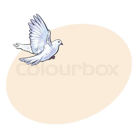 Free Flying White Dove Isolated Sketch Style Illustration Stock