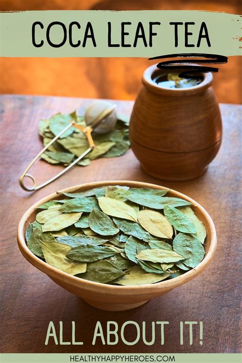 Coca Leaf Tea Benefits Risks How To Make It At Home Brewed Leaf Love