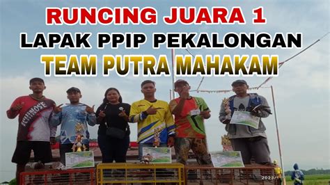 Runcing Dari Team Putra Mahakam Juara Bob Di Lapak Ppip Youtube