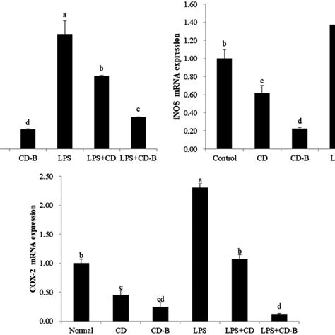 Effects Of Cd And Cd‐b On Mrna Expression Of Nf‐κb Inos And Cox‐2 O In