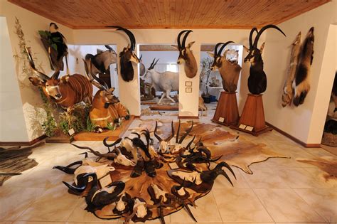 Trophy Room Peter Flack Hunter Writer Conservationist