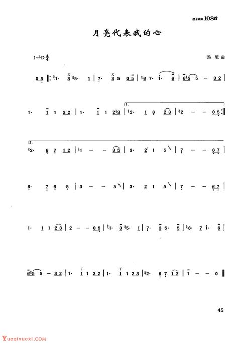 竹笛通俗金曲《月亮代表我的心》陈咏秋笛子曲 笛子曲谱 乐器学习网