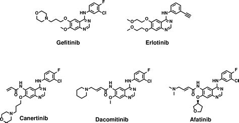 Afatinib Mechanism Of Action