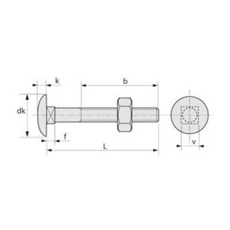 Boulon TRCC tête collet carré avec écrou acier zingué DIN 555 603 M6x50