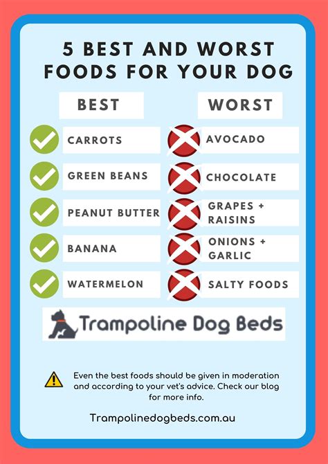 Free Printable List Of Toxic Foods For Dogs