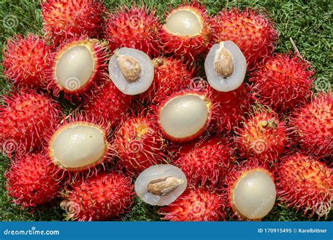 Full Frame Shoot Of Bunch Of Red Rambutan Fruits Close Up Rambutan