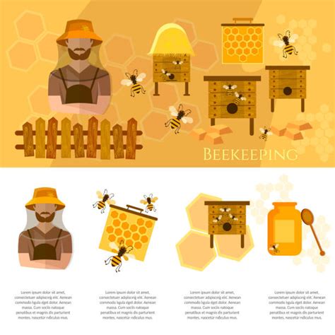 Best Beekeeper Illustrations Royalty Free Vector Graphics And Clip Art Istock