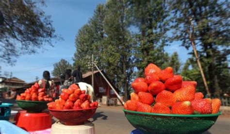 Market Yard Pune Location Timings Restaurants Shopping Options