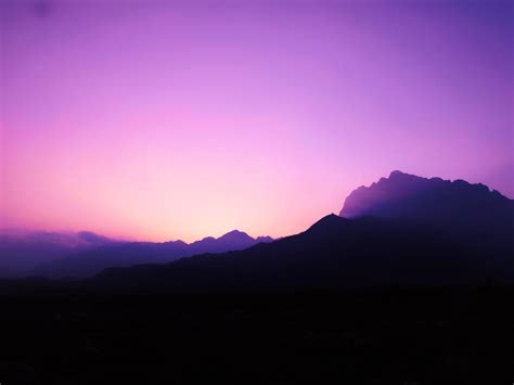 prettyforest hobbyist traditional artist deviantart