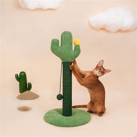 Cactus Cat Scratching Post Cat Tree 256 Inches Scratcher Etsy