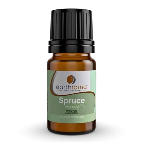 Spruce Essential Oil | Earthroma Essential Oils