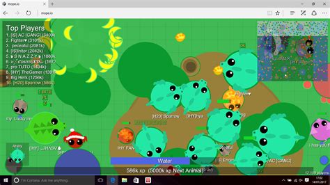 What the... : r/mopeio