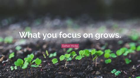 Top 50 Focus Quotes | 2021 Edition | Free Images - QuoteFancy