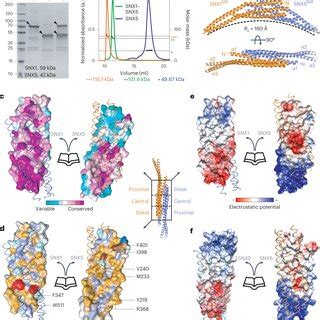 Schematic representation of human VPS13A and yeast Vps13 proteins ... 