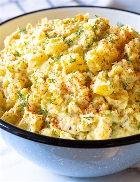 Bubbly Taco Salad Bowl Recipe A Spicy Perspective