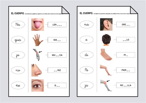 Completar Palabras Partes Del Cuerpo Principio Alfab Tico Soyvisual