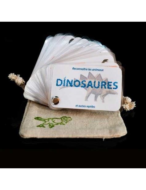 Carnet Dinosaures Et Autres Reptiles Du Mesozo Que