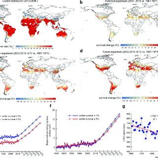 Predicted Global Overwintering Survival Of The Diamondback Moth A Mean