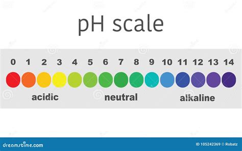 Escala Del Valor De Ph Para Las Soluciones Cidas Y Alcalinas