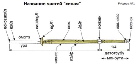Как выбрать синай
