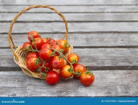 Basket With Red Cherry Tomatoes On Rustic And Old Wood Stock Photo