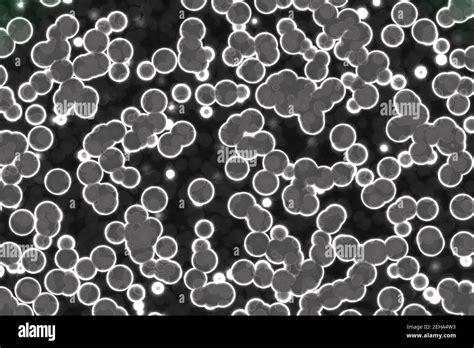 Nice Design A Lot Of Organic Cells Digital Art Texture Illustration