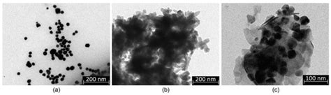 Polymers Free Full Text Hybrid Bilayer Plachitosan Nanofibrous Scaffolds Doped With Zno