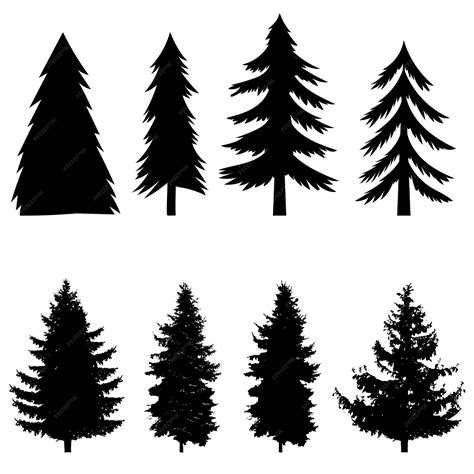 Simple Evergreen Tree Outline