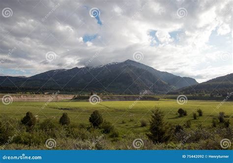 Mountain Meadows Under Morning Cumulus Morning Clouds In The Central