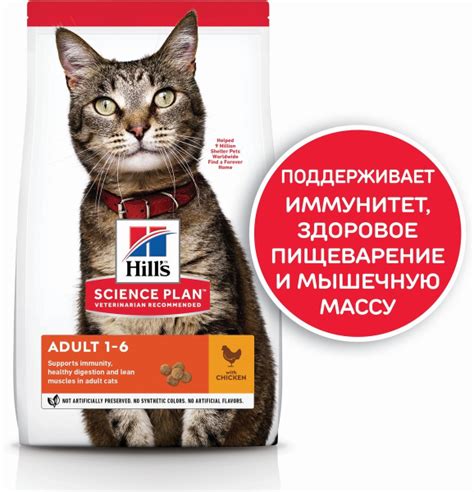 Сухой корм Hill's Science Plan для взрослых кошек для поддержания ...