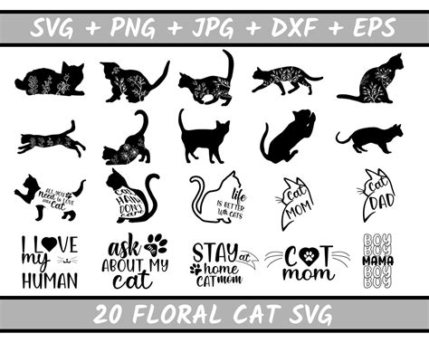 Floral Cat Svg Bundle Floral Animal Svg Floral Cat Shirt Etsy