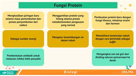 Ppt Bab 4 Biologi Kelas Xi Kur Merdekapptx